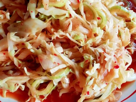 【辛い料理】キャベツとねぎと鶏肉のピリ辛炒め